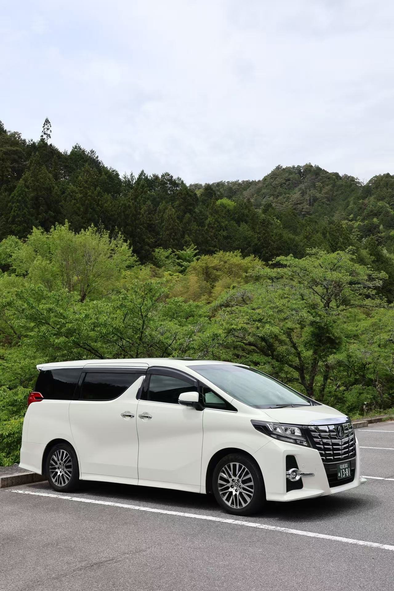 商務車_緑景色_01