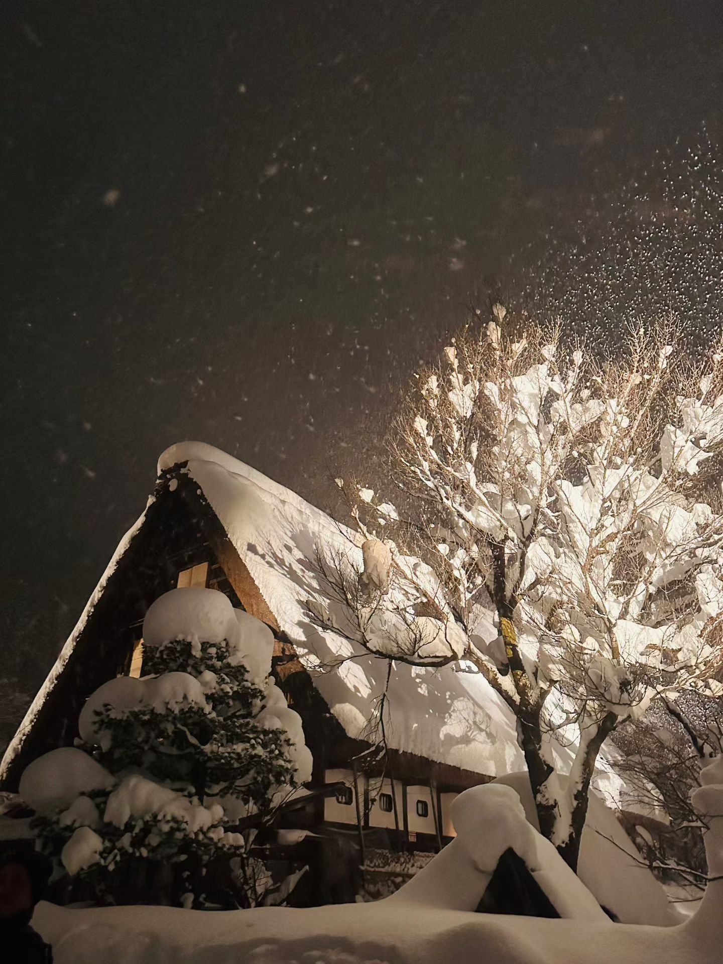白川郷_合掌造り夕暮れ_03
