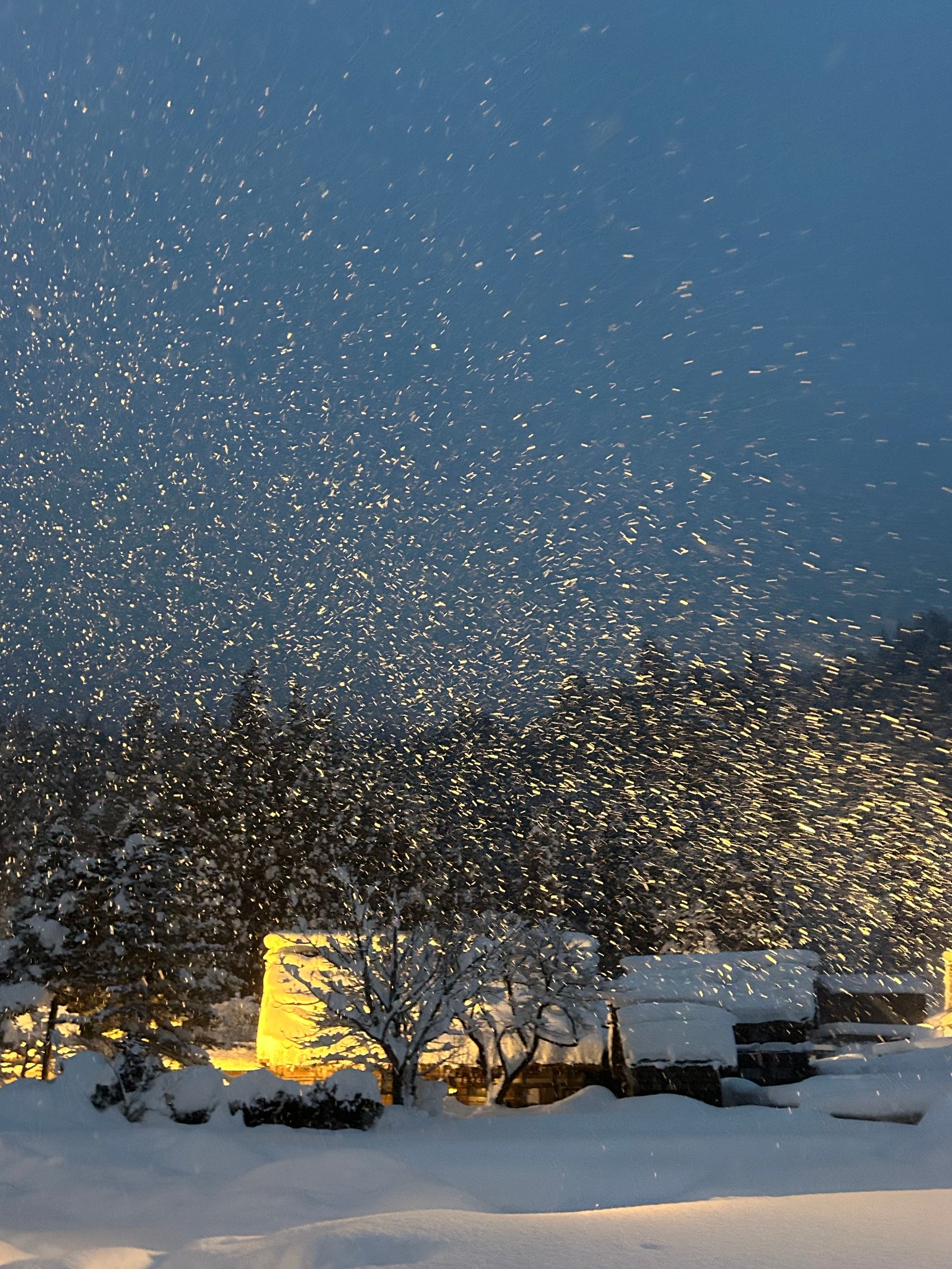 白川郷_合掌造り夜景_01