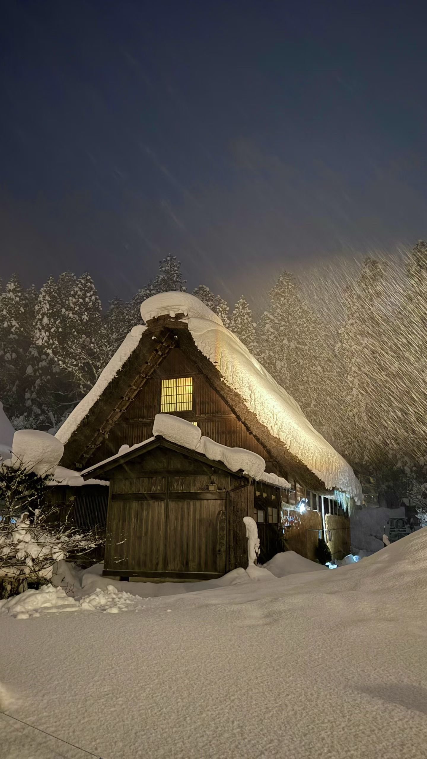 白川郷_合掌造り夜景_03