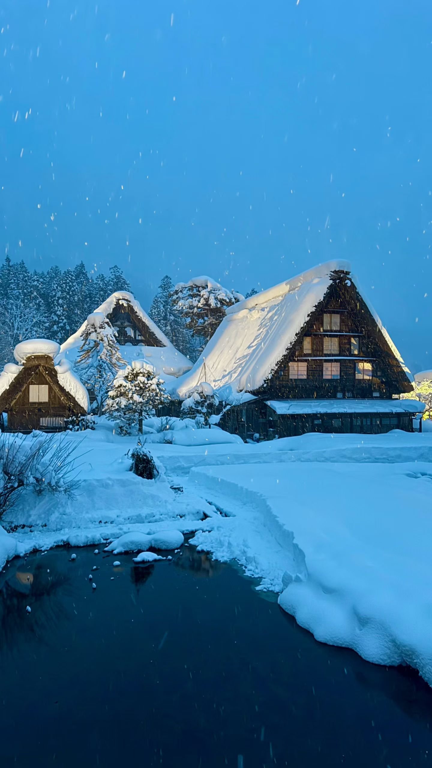 白川郷_合掌造り夜景ライトアップ_01